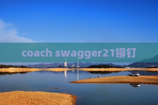 coach swagger21铆钉